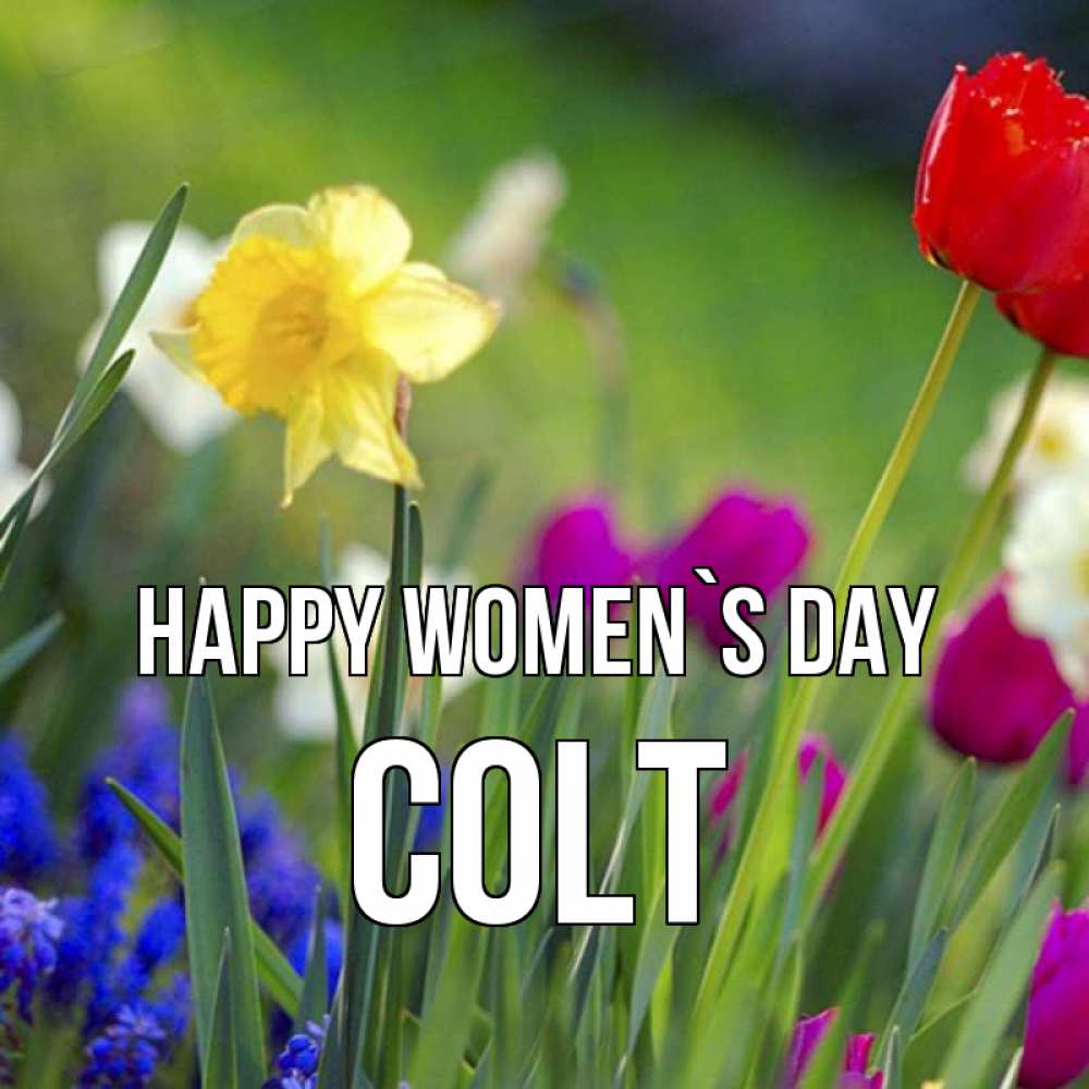 Greetings card с именем, Colt happy women`s day международный женский день 3 Greetings with text for free download 